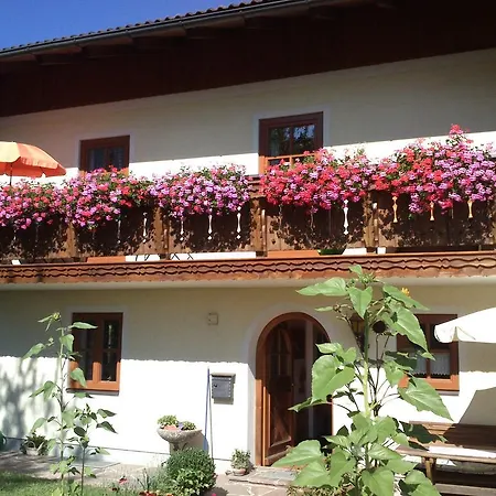 Ferienwohnung Loeffelberger Hallein Exterior photo