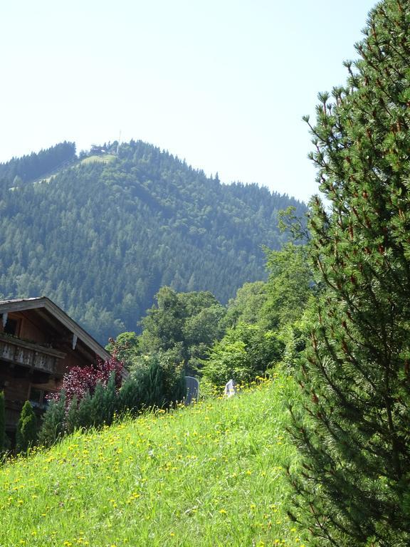 Apartment Löffelberger