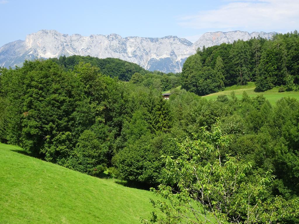 Löffelberger * Hallein