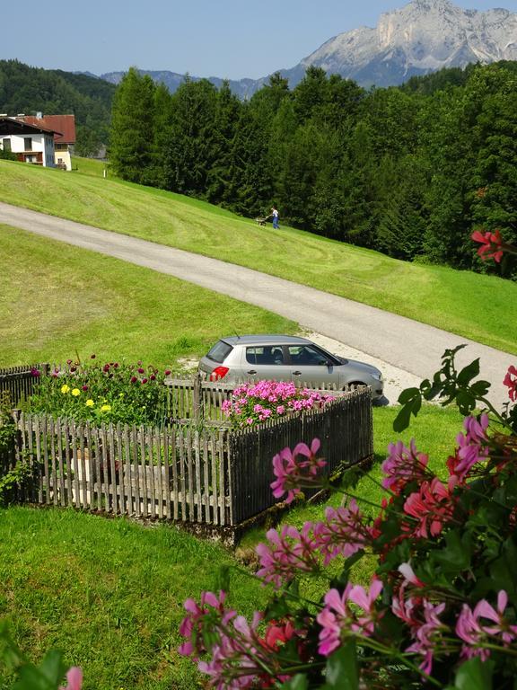 Löffelberger *