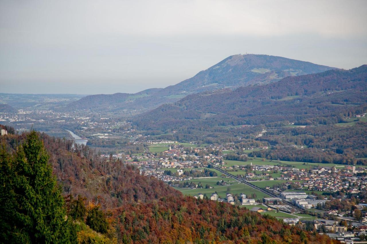 Löffelberger Hallein
